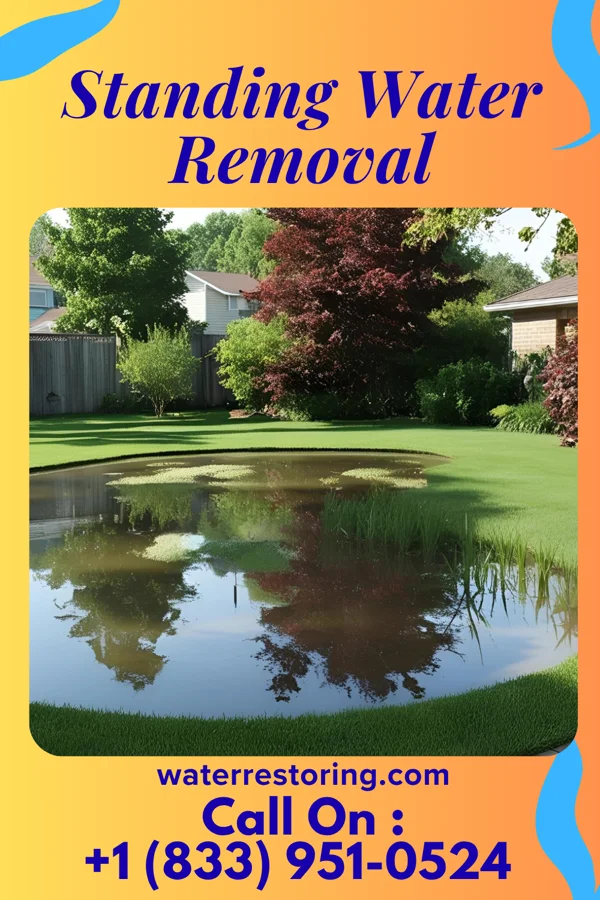 Standing Water Removal in Poipu, HI